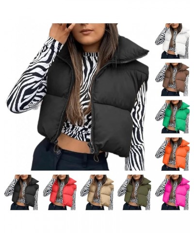 Puffy Vests for Women Trendy Lightweight Winter Crop Jackets Coat Warm Comfy Zip Up Stand Collar Outerwear with Pockets A-bla...