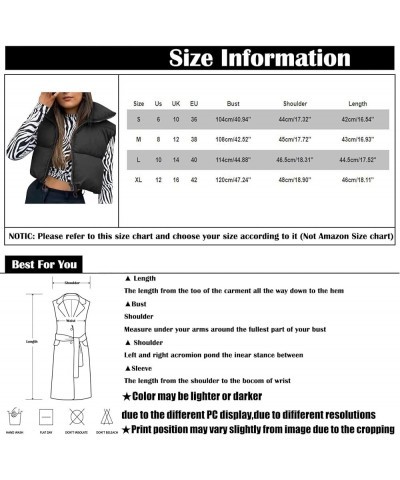 Puffy Vests for Women Trendy Lightweight Winter Crop Jackets Coat Warm Comfy Zip Up Stand Collar Outerwear with Pockets A-bla...