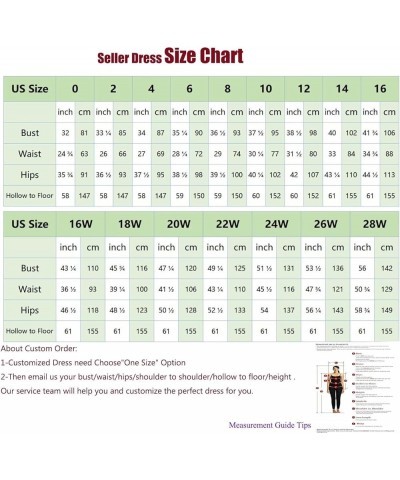 Long Sleeve Prom Dress 3D Butterfly Tulle Ball Gown for Women 2024 V Neck Puffy Formal Evening Gowns with Pockets Lavender $4...