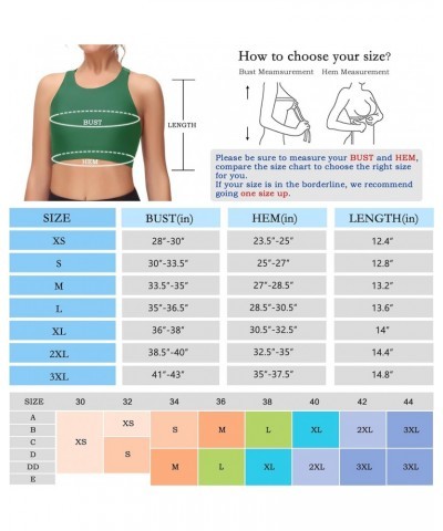 Women's Swim Bra Racerback Sports Bra Swimsuit Top Modest High Neck Bikini Tops Removable Padded Quick Dry UPF 50+ Green $20....