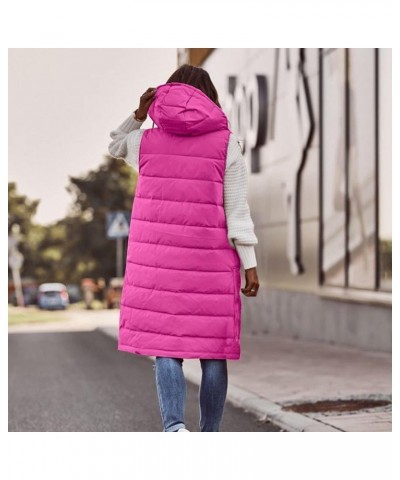 Long Puffer Vest for Women Winter Sleeveless Warm Vest Zip Up Stand Collar Jacket Solid Thickened Hooded Puffy Coat Womens Lo...