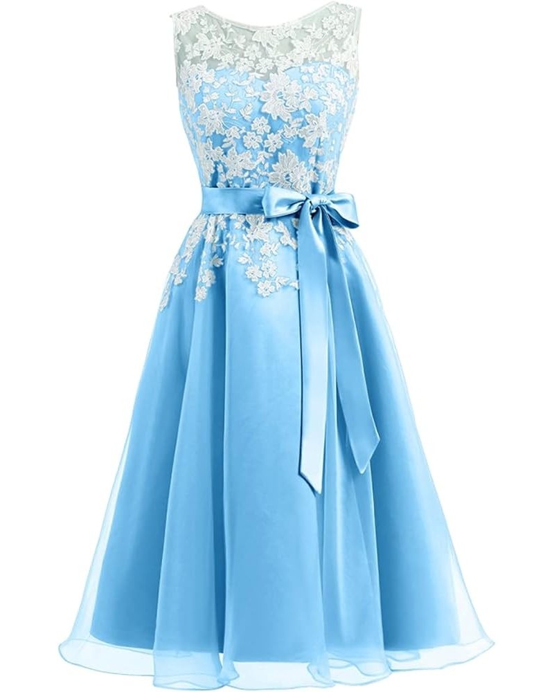 Junior Bridesmaid Dresses Lace Appliques Cocktail Dress Organza Homecoming Dresses Blue $30.82 Dresses