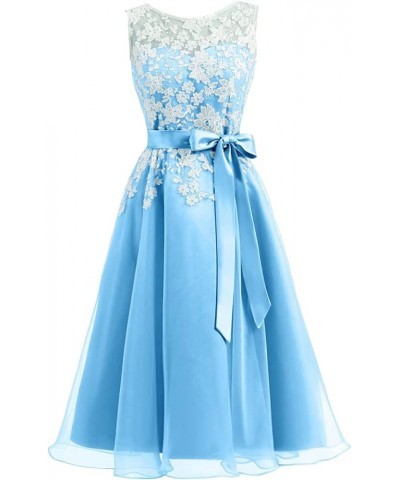 Junior Bridesmaid Dresses Lace Appliques Cocktail Dress Organza Homecoming Dresses Blue $30.82 Dresses