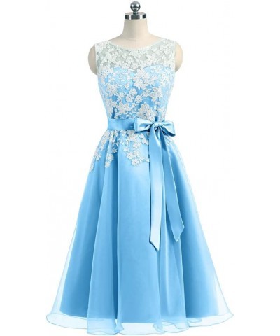 Junior Bridesmaid Dresses Lace Appliques Cocktail Dress Organza Homecoming Dresses Blue $30.82 Dresses