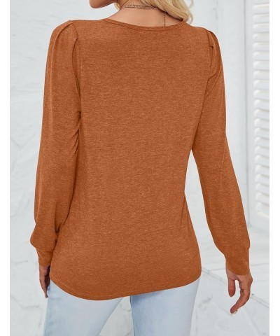 Women's 2024 Casual Long Sleeve T Shirts Lace V Neck Trendy Basic Tops Summer Fall Tee Blouse Caramel $19.59 T-Shirts